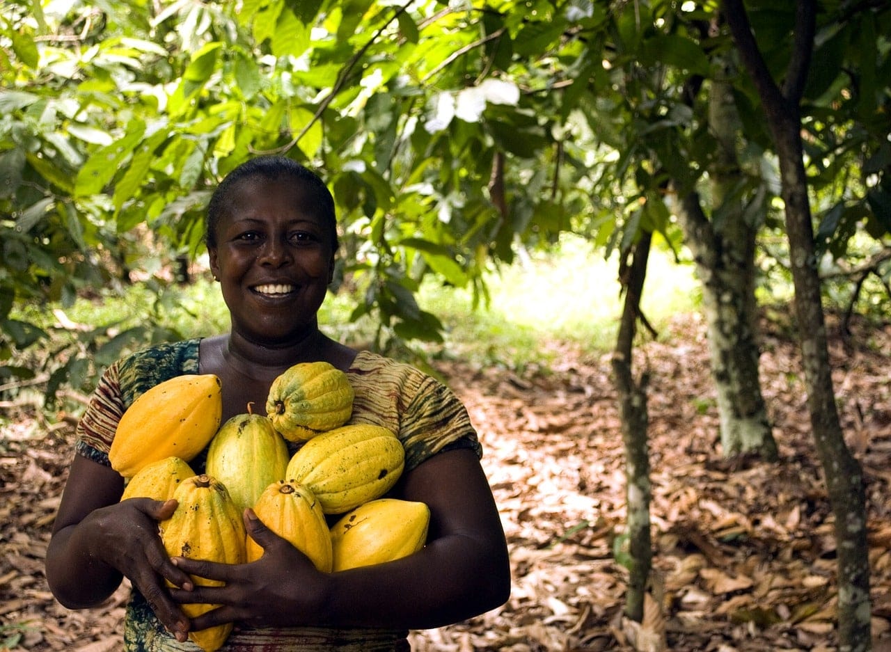 fruit-3247447_1280 fruit-3247447_1280